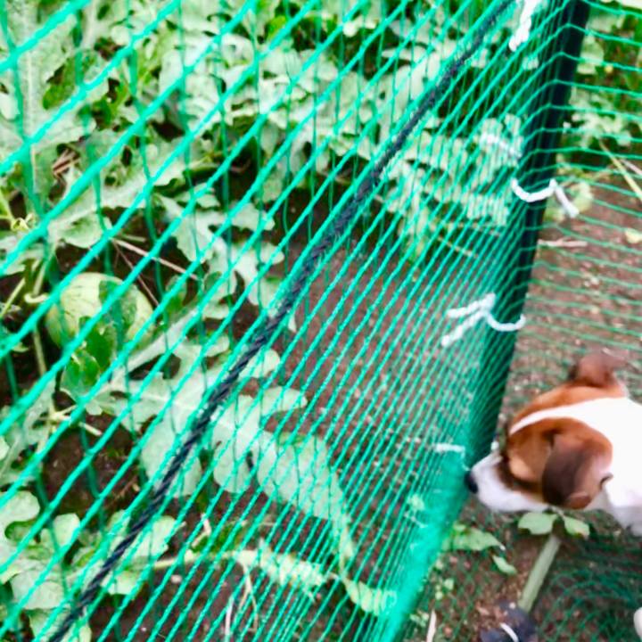 10212958 015d 47de a679 ef6fa8be6322 1564831152499