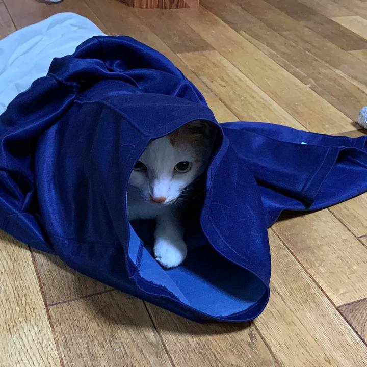 1021359b bab6 4bd1 99f5 e69a3ff035d6 1632279970411