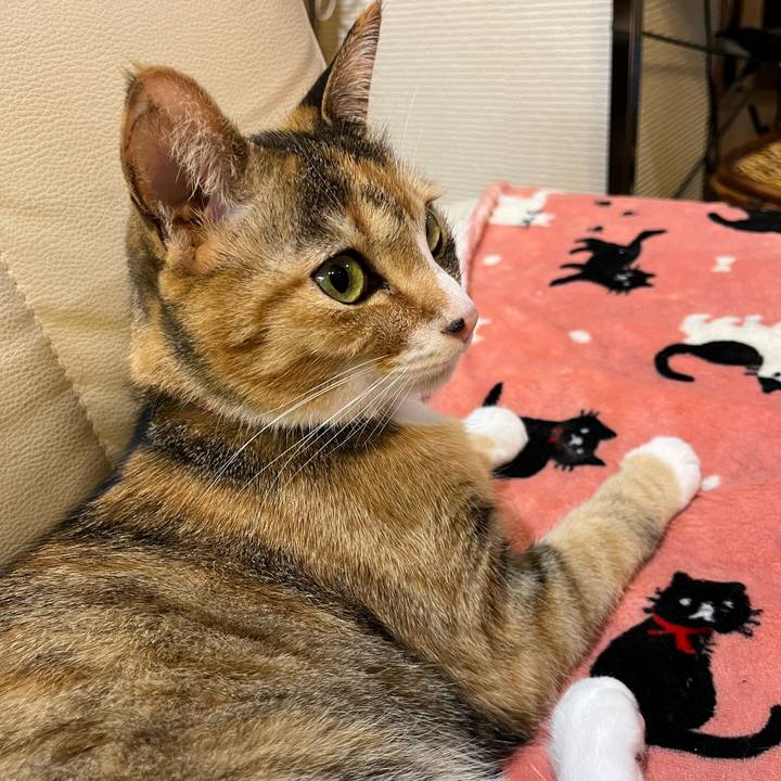 10215620 3324 4733 ac84 0675cd31e260 1680879013225