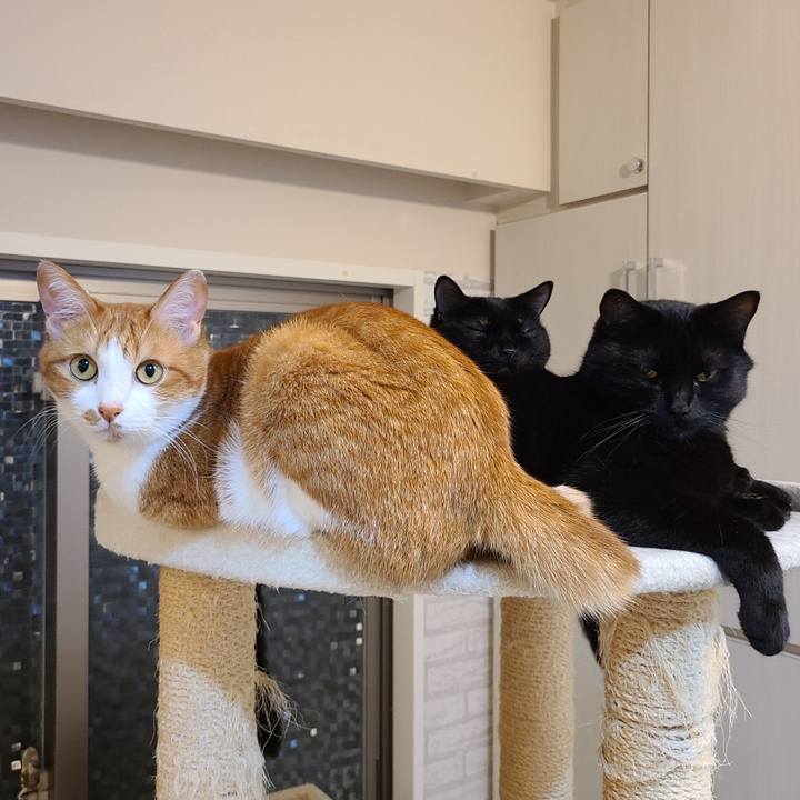 10217a4f 4504 4e4a 8f99 13d728eb356f 1630404748026