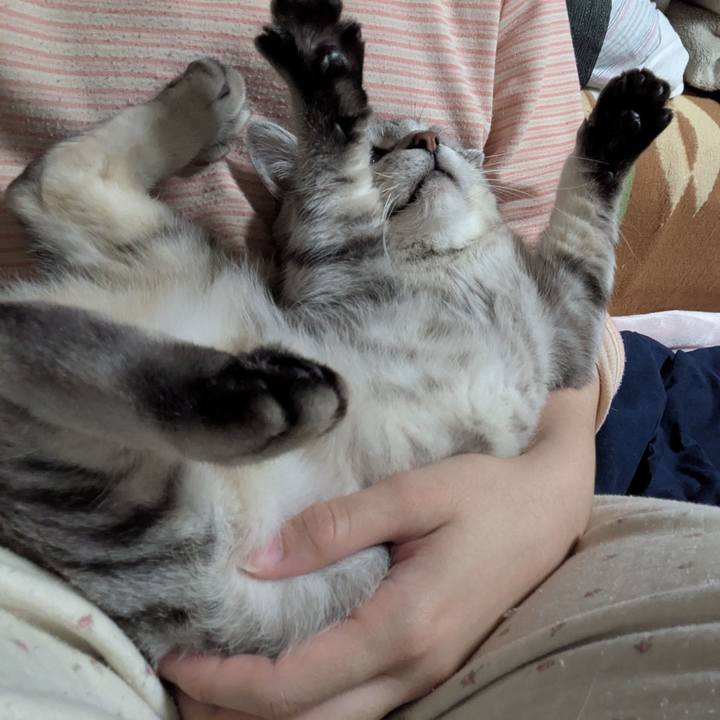 10218a1d a353 40fc 9981 0b19b2b25085 1759771418508