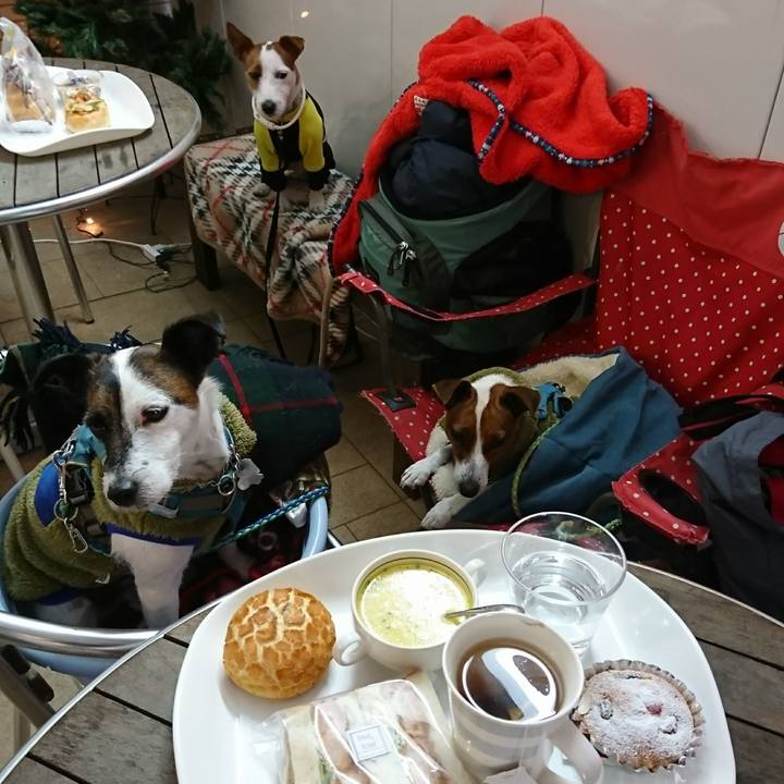 10219355 61b9 4775 b9e8 00cd310f255d 1608796545152