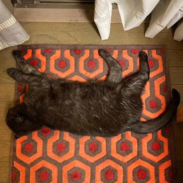 102196d2 0116 44bb 995c aa3fbbe07d10 1599657455174