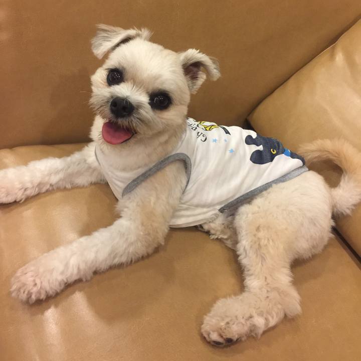 10219721 e42a 42fb 85ba 4975944f9395 1535282611010