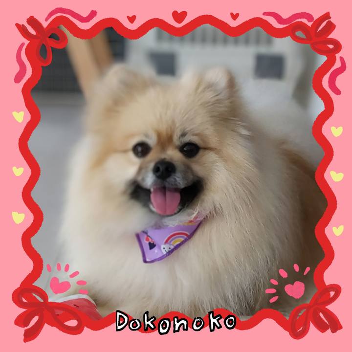 1021bcd5 6762 4887 a25b be98454deb37 1707054910816