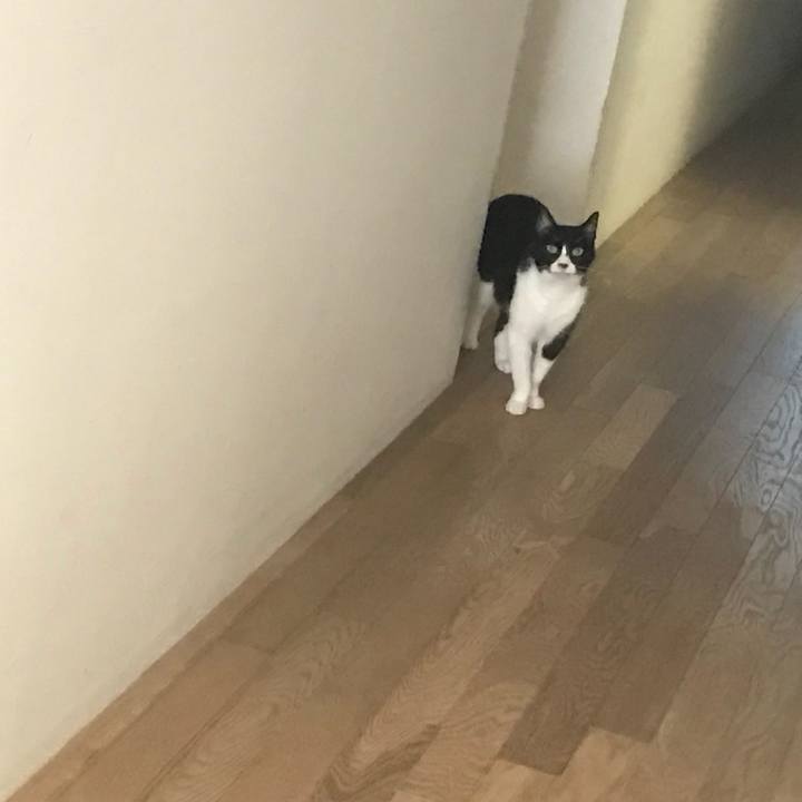 1021e2d0 0e40 48fc be71 a243dc1dee44 1534922440601