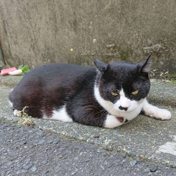 1021e818 fbb7 46e9 be3a 9ebdfc9a642f 1527905948194