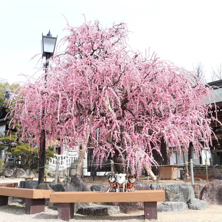 1021f953 2210 4224 bde9 fd735404db13 1771909719121