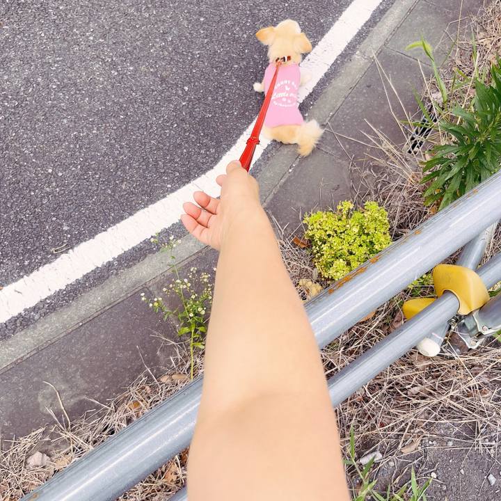 1021fcbf a6df 4356 940a 7a57cd17d9a5 1688549454107