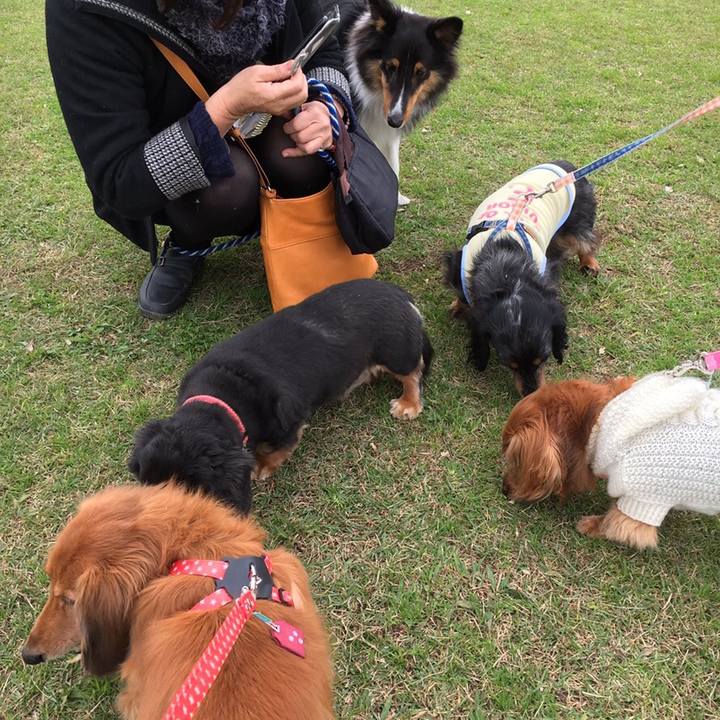 102204b7 1e71 454e 8deb b5319a416a03 1543093621509