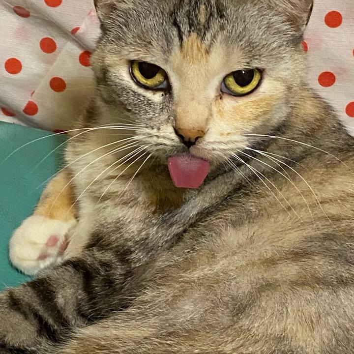 10221789 a7bb 4e99 8365 5987a2a2268d 1636906416603