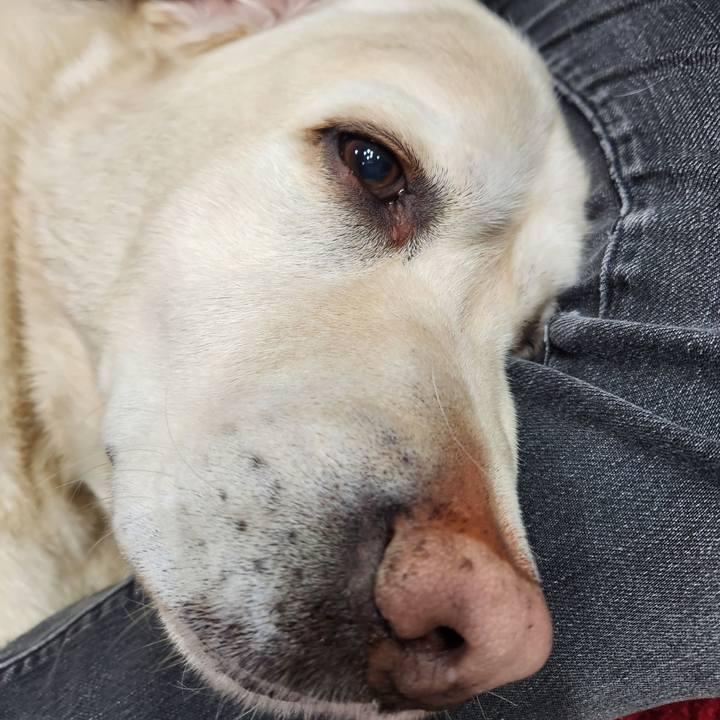 1022837f 7183 413d 816b 0c45133a7147 1705922545584