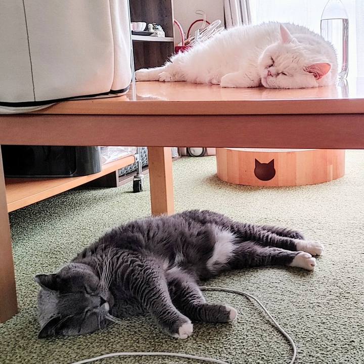 10228a99 6321 43df 9351 f35b8bcf1afd 1723070392302