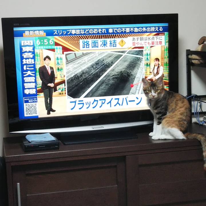 1022b672 0aa3 4471 aed1 a109285e8918 1641463234993