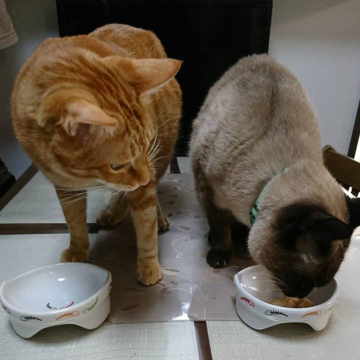 1022e29c 92bc 4a91 abd8 d710f493e054 1516453267850