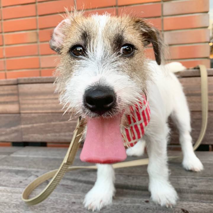 10230847 ccc4 4945 86e9 5976a1043893 1565694063258