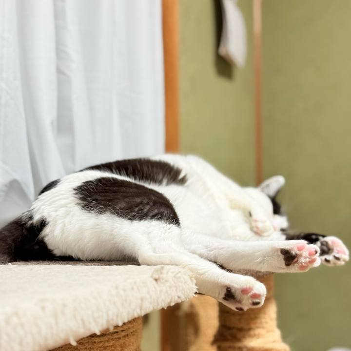 10231b34 166b 46ed 8491 478609811f23 1763343933280