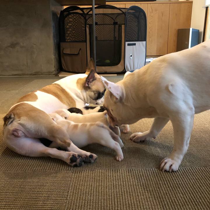 1023554c 214d 4841 a942 44a713a4f5af 1591850892915