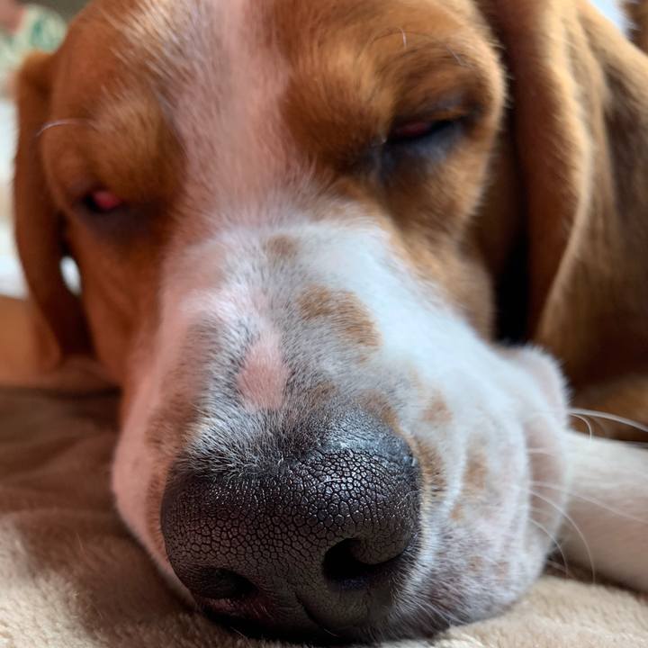 10236807 62a6 4ed3 b1d0 8d4f7a991bde 1551365853723