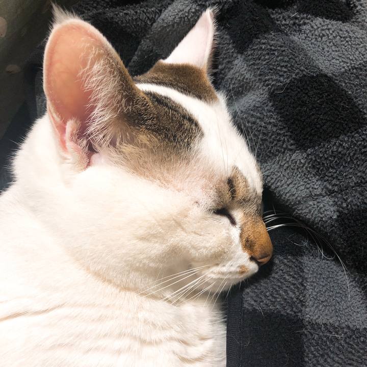 10237167 c617 4cd5 81f0 40f41483639f 1520526345058