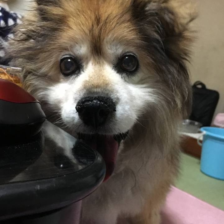 1023dd04 0341 4131 90f1 f5d163c81397 1584292807401