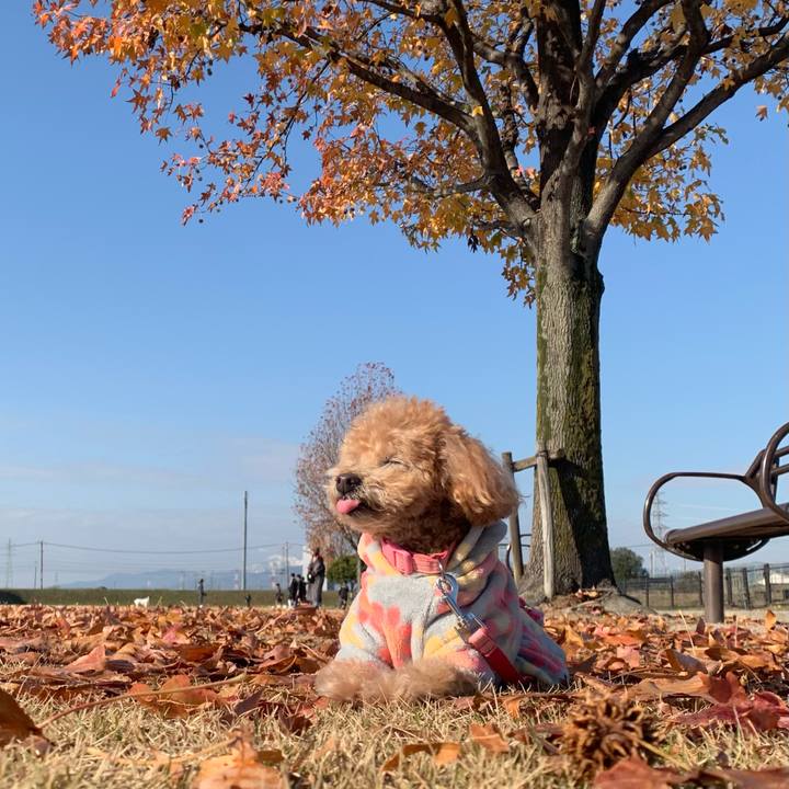 1023e300 b94c 4f80 8dc0 c9d4863e1016 1765107692747