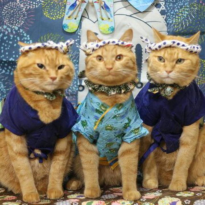 1023e7de be68 4392 9499 4099ebf77566 1565709258549