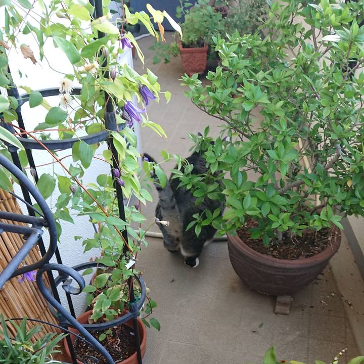 1023efb2 eeba 414d b94e 013def75c83c 1534289072268