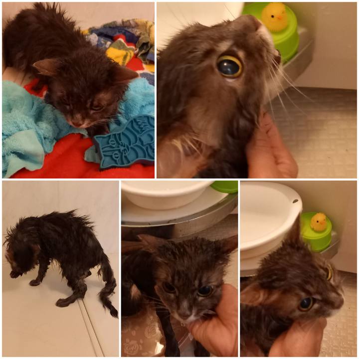 10241d0b 4325 4a68 8b2d f4a2ea20155b 1633260047472