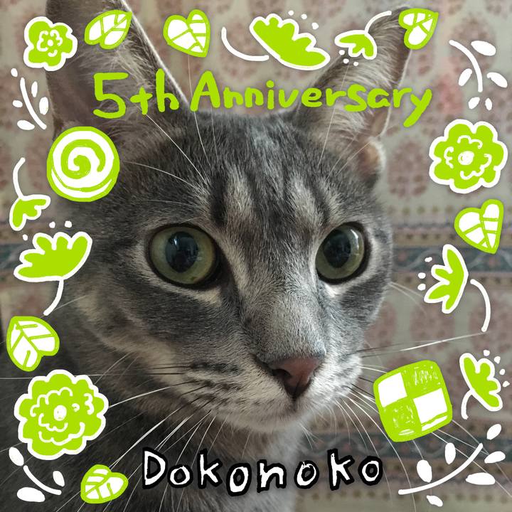 10247dfd 4fd9 4609 a104 fd643dd1cc22 1622861327765