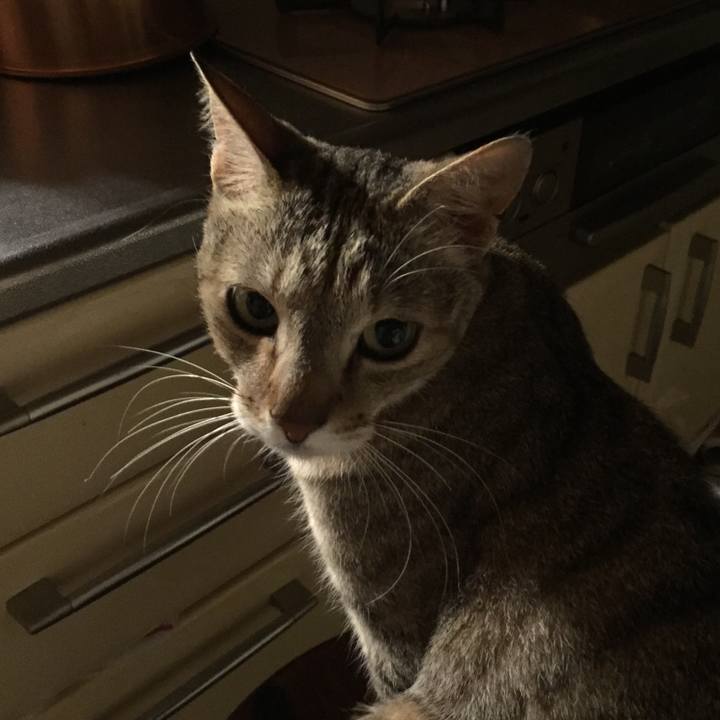 1024d9a3 4d5f 4ac4 8910 018e25fd506a 1561219274279