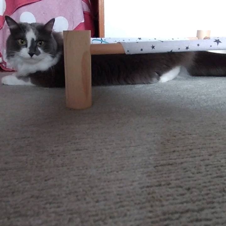 1024fd3a bb47 4591 8742 cdf28b87ad63 1658045722582