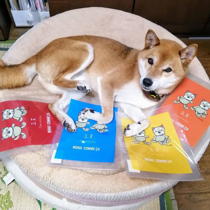 1024ff6a 7897 4d68 bdcb 6d4115d80400 1626257472604