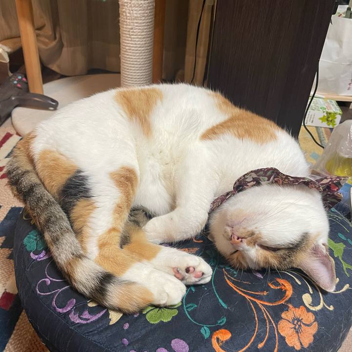 10257b3b bb9f 49ae 9d58 9552f6ec93e2 1760704962595