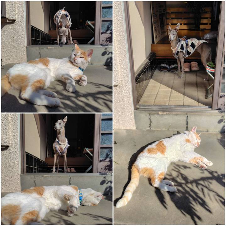 10257ddb 4cde 4609 955f c291bf9eb915 1764400243648