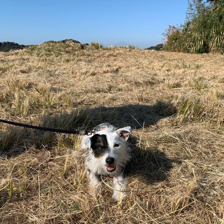 10258590 8422 4c2f 9319 3b3795bc5174 1668128594812