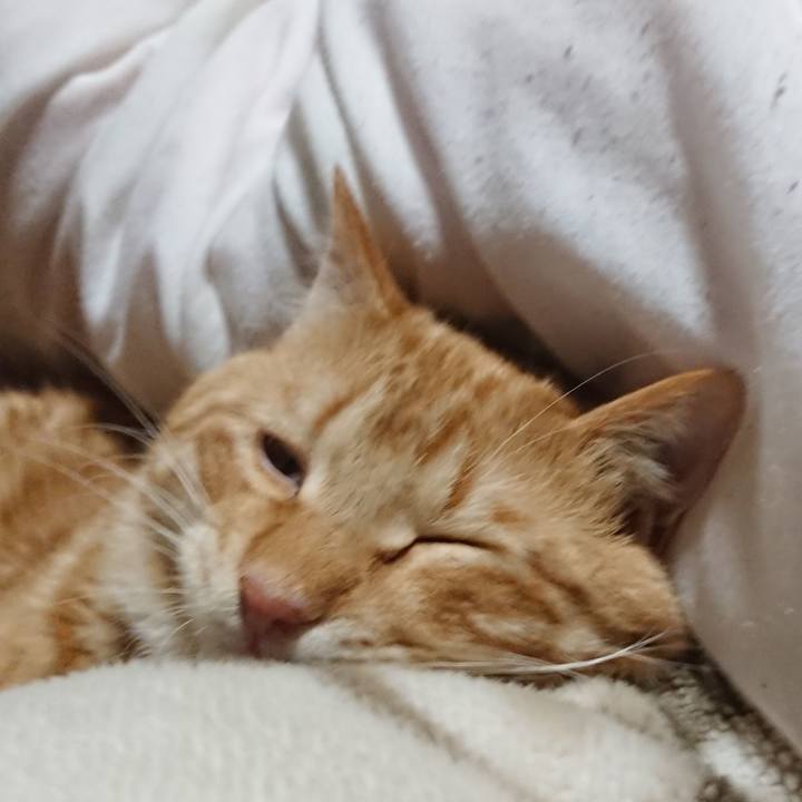 102603e5 c6f6 4ee0 957a 4b05cb3fd998 1643721855761