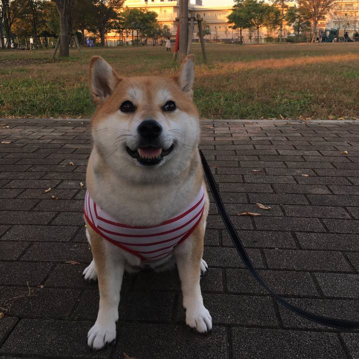 10261610 ab2d 466e 9269 9e7070767a97 1572593792492