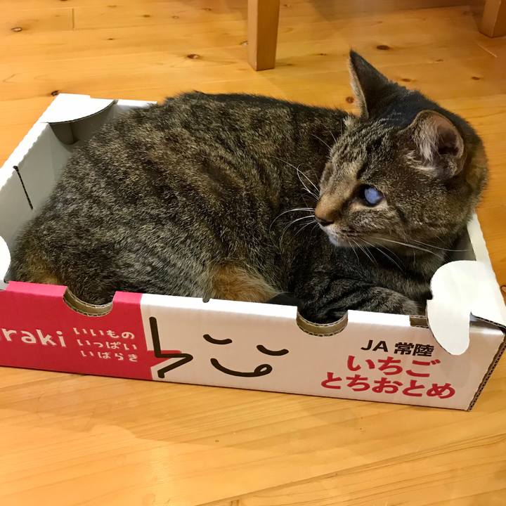 1026faa4 7bbb 4e75 a476 66db76d72705 1590480037876