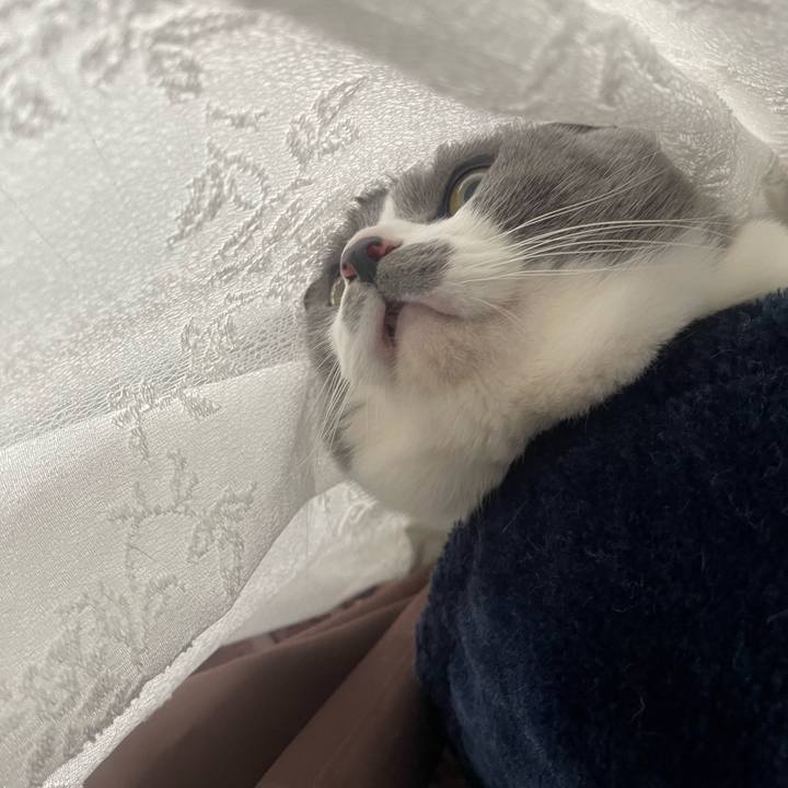 1026fb03 dbb0 4121 8368 e5e346f1c98f 1705100146870