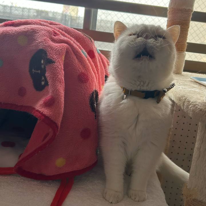 10270fef 6d04 482d 8358 29da4457aeb0 1742820843729