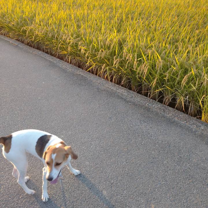 10271da0 f131 453b badc a577b13dd1fc 1601628484971