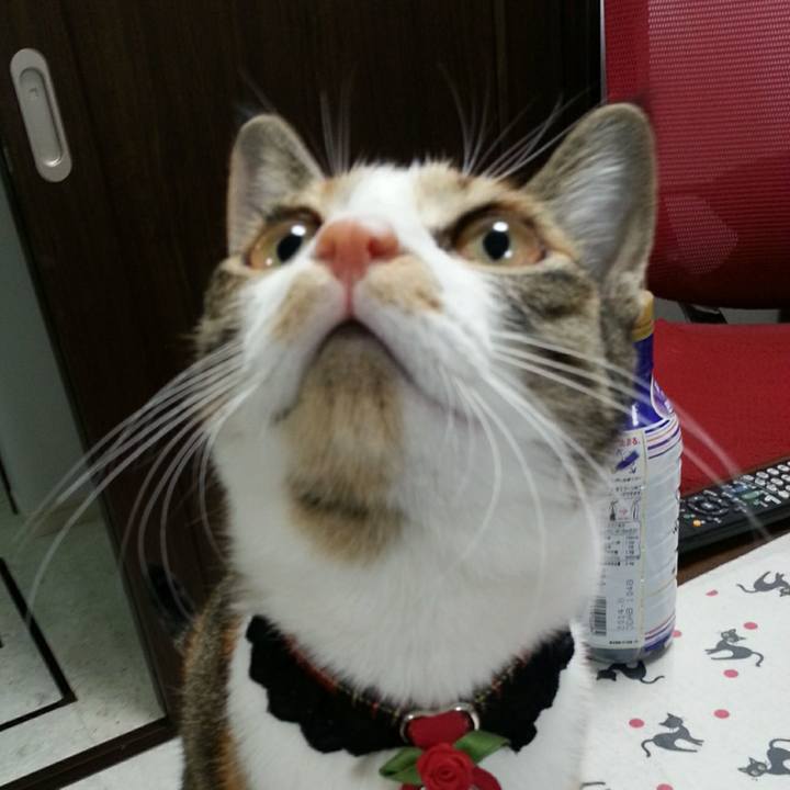 10278e0f 6a16 405c b159 00c419c1abc7 1540248403372