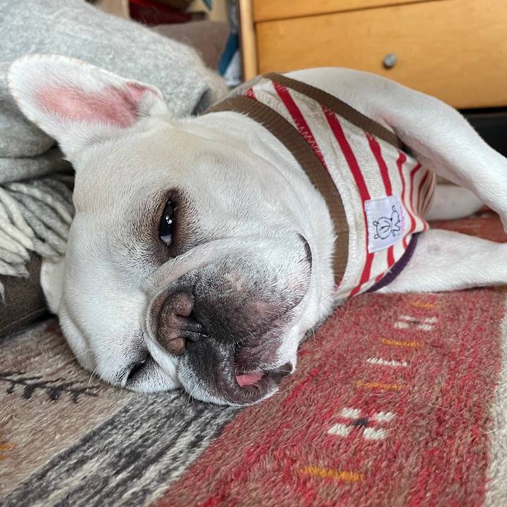 1027c032 91df 4042 90f8 99cf1bf7beb3 1742350836880