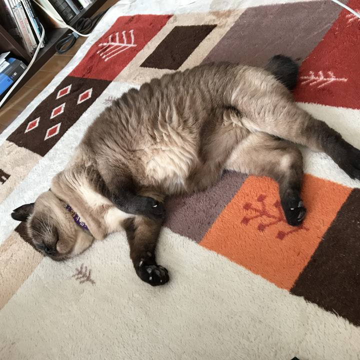 102833df 31a1 4e61 acc2 be1ec9cf6507 1568600589228