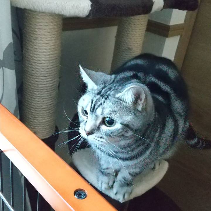 1028597a 99d6 467c 9492 8d864f82bdb9 1644580607959