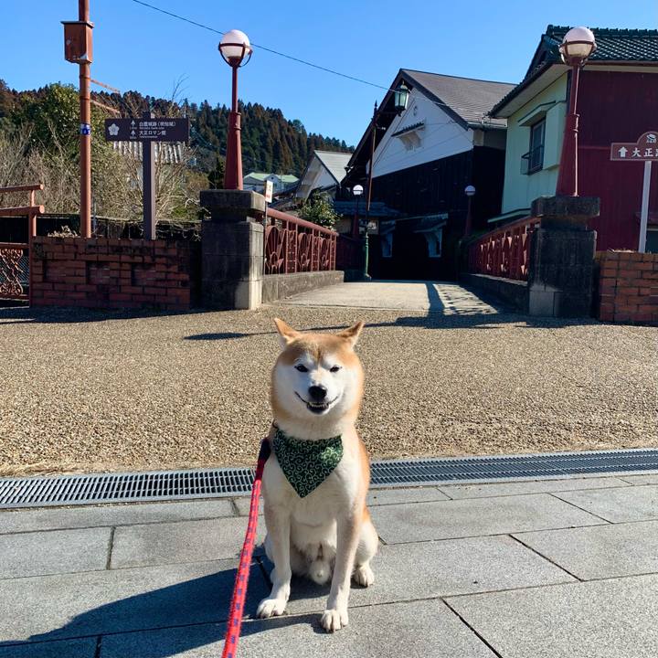 102862d8 f5ee 4e67 9459 c30ed3bcab4e 1675587071513