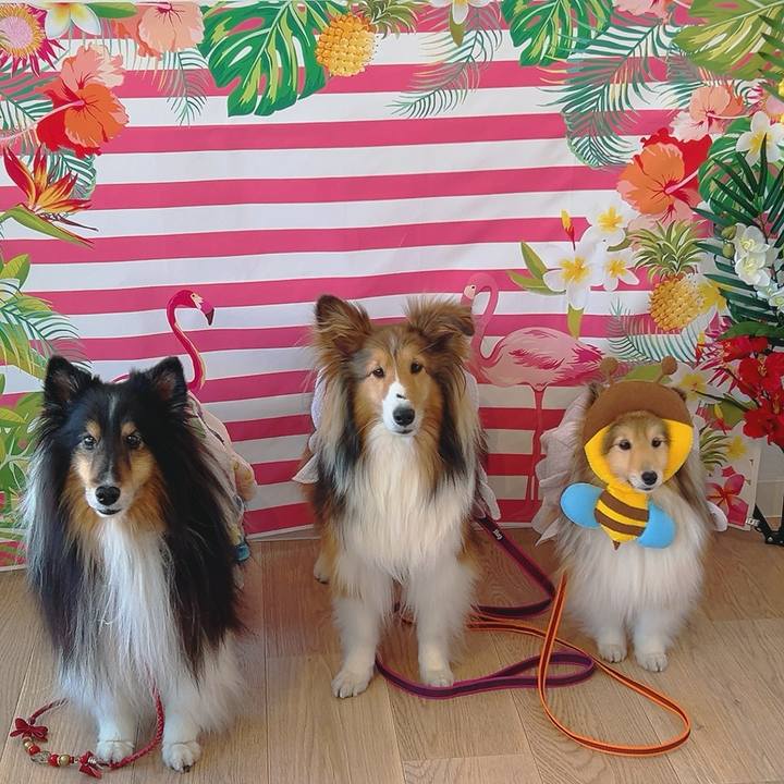 102884b0 ff0b 4e60 9611 1d3cff2ba3d8 1715289198034