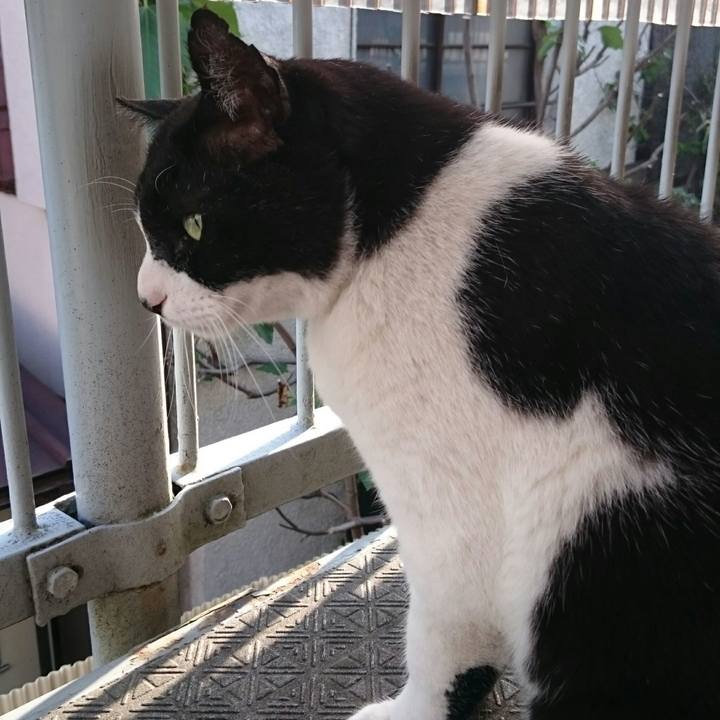 10288e5b 0dcd 498a 96a8 9053be0a45f5 1525132835852