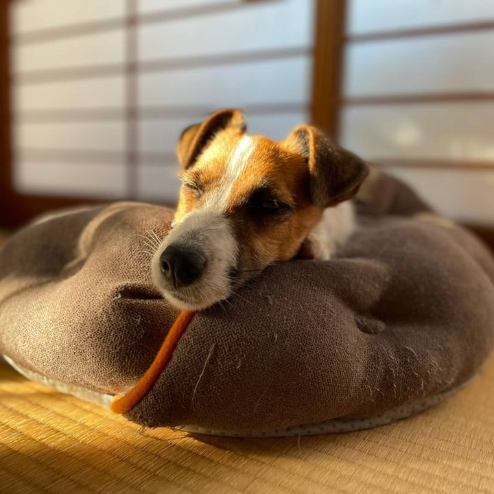 102896fa b0e0 49bb ab8e 231f83eaf2ed 1627739872444